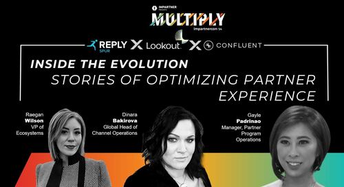 Inside the Evolution: Stories of Optimizing Partner Experience